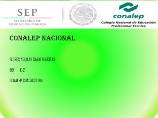 Conalep nacional FLORES AGUILAR SARAÍ FELÍCITAS 501 E-2 CONALEP COACALCO 184