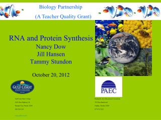 RNA and Protein Synthesis Nancy Dow Jill Hansen Tammy Stundon October 20, 2012