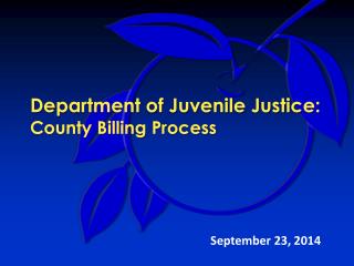 Department of Juvenile Justice: County Billing Process