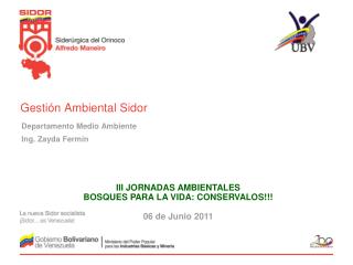 Gestión Ambiental Sidor