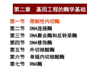 第二章 基因工程的酶学基础