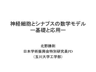 神経細胞とシナプスの数学モデル ー基礎と応用ー