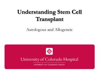 Understanding Stem Cell Transplant