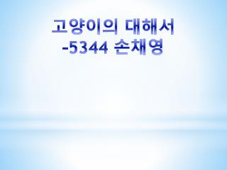 고양이의 대해서 -5344 손채영