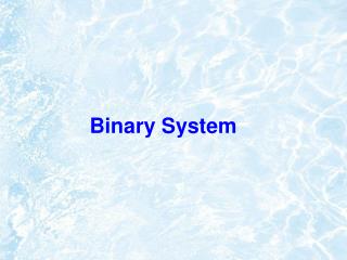 Binary System