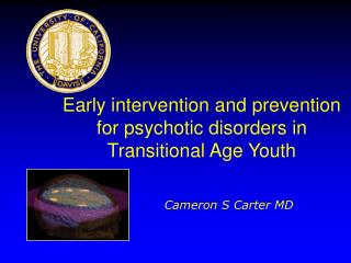 Early intervention and prevention for psychotic disorders in Transitional Age Youth