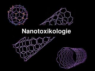 Nanotoxikologie