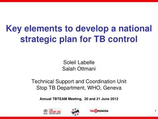 Key elements to develop a national strategic plan for TB control
