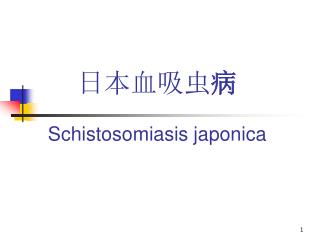 日本血吸虫 病 Schistosomiasis japonica