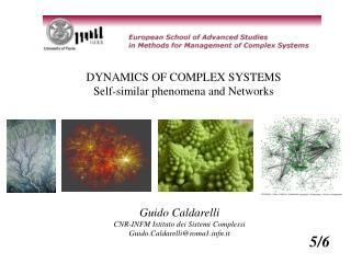 DYNAMICS OF COMPLEX SYSTEMS Self-similar phenomena and Networks