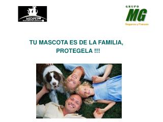 TU MASCOTA ES DE LA FAMILIA, PROTEGELA !!!