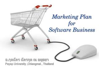 Marketing Plan for Software Business