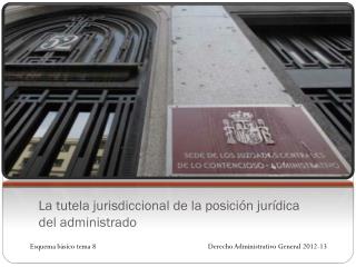 La tutela jurisdiccional de la posición jurídica del administrado