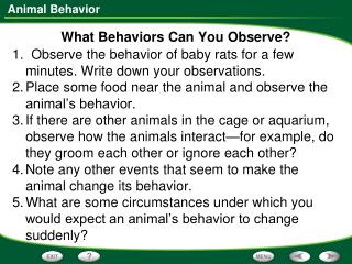 What Behaviors Can You Observe?