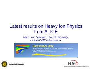 Latest results on Heavy Ion Physics from ALICE