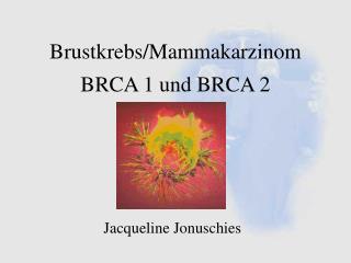 Brustkrebs/Mammakarzinom BRCA 1 und BRCA 2