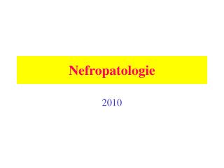 Nefropatologie