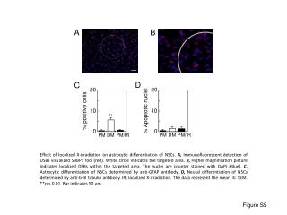 % positive cells