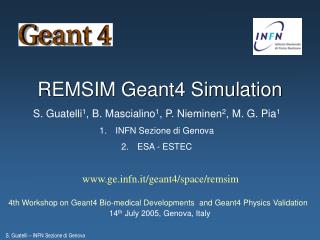 REMSIM Geant4 Simulation