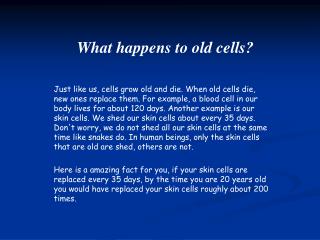 What happens to old cells?