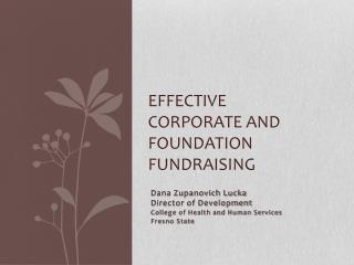 Effective Corporate and Foundation Fundraising