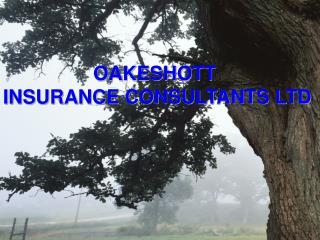 OAKESHOTT INSURANCE CONSULTANTS LTD