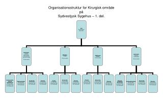 Organisationsstruktur for Kirurgisk område på Sydvestjysk Sygehus – 1. del.