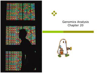 Genomics Analysis Chapter 20