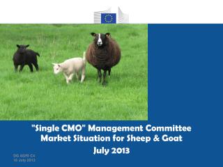 "Single CMO" Management Committee Market Situation for Sheep & Goat July 2013