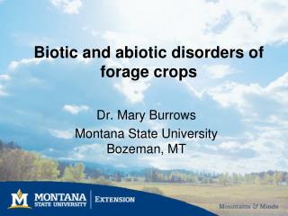 Biotic and abiotic disorders of forage crops