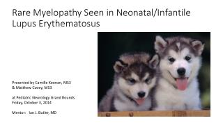 Rare Myelopathy Seen in Neonatal/Infantile Lupus Erythematosus