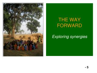 THE WAY FORWARD Exploring synergies