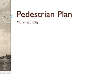 Pedestrian Plan