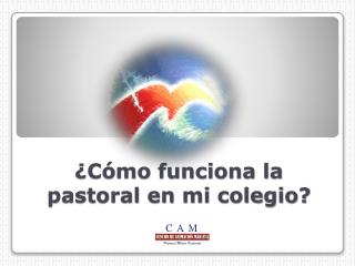¿Cómo funciona la pastoral en mi colegio?