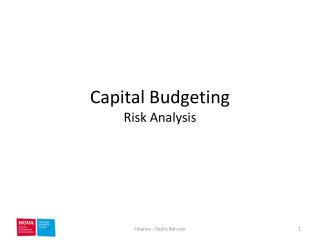 Capital Budgeting Risk Analysis