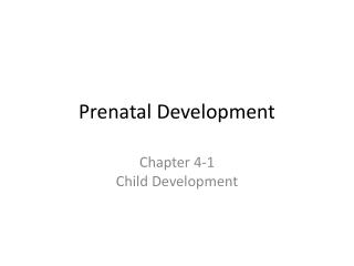 Prenatal Development