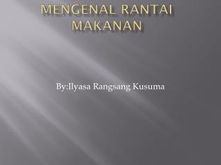 Mengenal Rantai makanan
