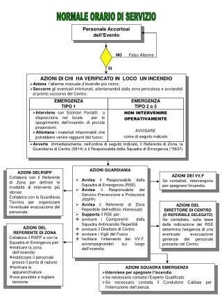 NORMALE ORARIO DI SERVIZIO