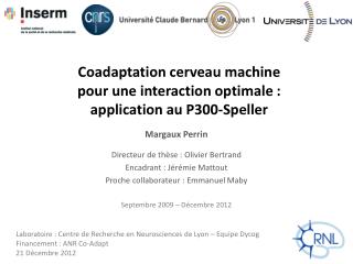 Coadaptation cerveau machine pour une interaction optimale : application au P300-Speller