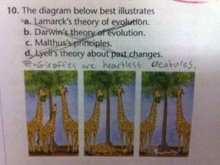 Darwin’s THEORY of Evolution