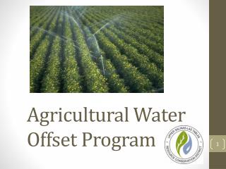 Agricultural Water Offset Program