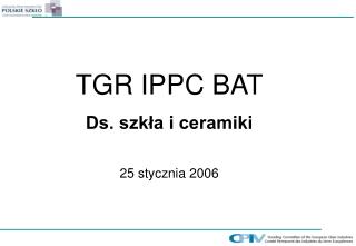 TGR IPPC BAT Ds. szkła i ceramiki 25 stycznia 2006