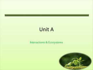 Unit A