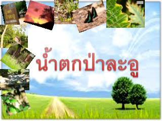 น้ำตกป่าละอู