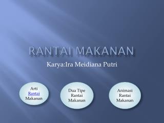 Rantai makanan