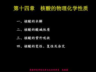 第十四章 核酸的物理化学性质