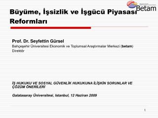 Büyüme, İşsizlik ve İşgücü Piyasası Reformları