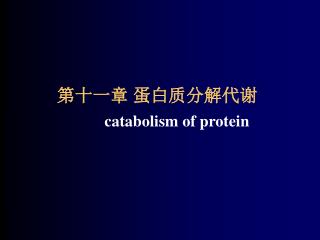第十一章 蛋白质分解代谢