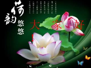 大 家 好！