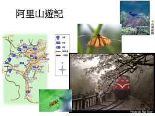 阿里山遊記